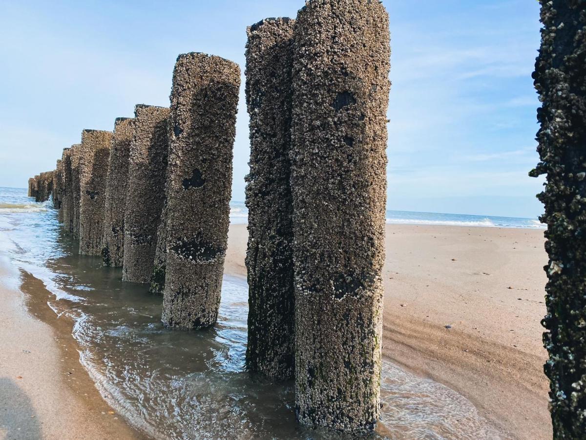 Vakantiehuis Domburg DO33 Buitenkant foto